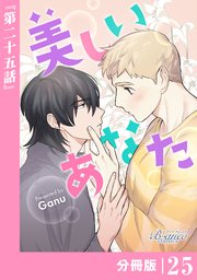 美しいあなた【分冊版】25（ビアンココミックス）