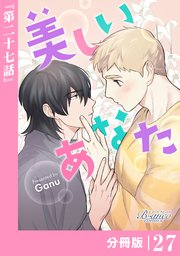 美しいあなた【分冊版】27（ビアンココミックス）