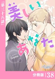 美しいあなた【分冊版】38（ビアンココミックス）
