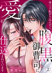 身一つで転がり込んだら、腹黒御曹司に愛を仕込まれています 2巻