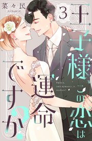 王子様、この恋は運命ですか？（3）