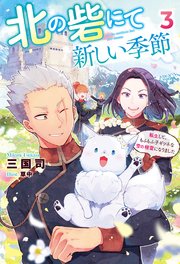 北の砦にて 新しい季節～転生して、もふもふ子ギツネな雪の精霊になりました～ ： 3