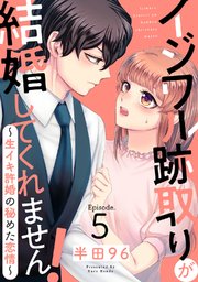 イジワル跡取りが結婚してくれません！ ～生イキ許婚の秘めた恋情～ Episode.5《Pinkcherie》