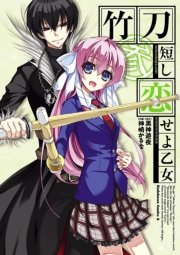 竹刀短し恋せよ乙女　3巻