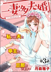 一妻多夫婚 ～私には夫と亭主と旦那がいます～（分冊版） 【第3話】