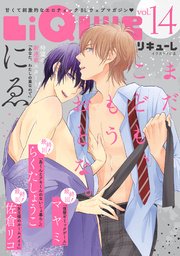 LiQulle（リキューレ） VOL.14