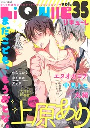 LiQulle（リキューレ） VOL.35