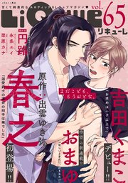 LiQulle（リキューレ） VOL.65