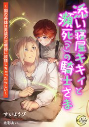 添い寝屋キキィと瀕死（？）の騎士さま ～国の英雄は男装の治療師に欲情しちゃったらしい～