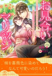 【全1-6セット】お見合いマリッジ ～破談させるつもりが、なぜか溺愛されています～【イラスト付】
