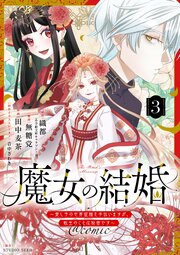 魔女の結婚～愛し子の世界征服を手伝いますが、転生のことは秘密です～@comic【単話】 3