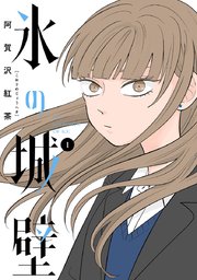 氷の城壁 単行本版 表紙