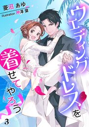 ウエディングドレスを着せてやろう（3）