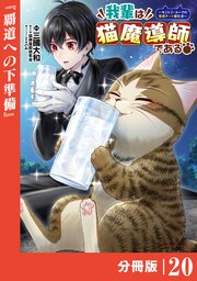 我輩は猫魔導師である～キジトラ・ルークの快適チート猫生活～【分冊版】（ポルカコミックス）20