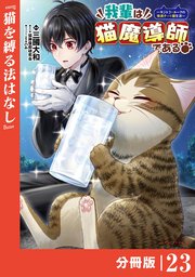 我輩は猫魔導師である～キジトラ・ルークの快適チート猫生活～【分冊版】（ポルカコミックス）23