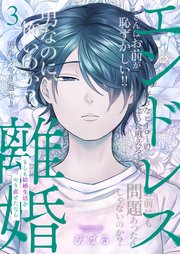エンドレス離婚～もしも結婚生活をやり直せたなら～【単行本版】3【電子限定】