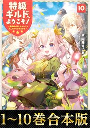 特級ギルドへようこそ！～看板娘の愛されエルフはみんなの心を和ませる～
