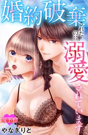 婚約破棄されたのに溺愛されています 8巻