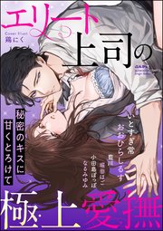 エリート上司の極上愛撫 秘密のキスに甘くとろけて