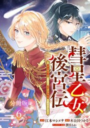 彗星乙女後宮伝～男装の女騎士、異国であやしいお役目に就きました～　分冊版（６）