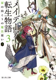メイデーア転生物語 3 扉の向こうの魔法使い（上）