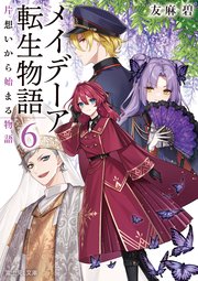 メイデーア転生物語 6 片想いから始まる物語