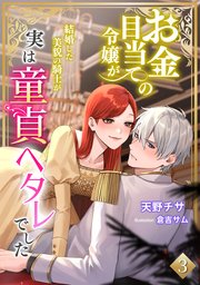 お金目当ての令嬢が結婚した美貌の騎士が実は童貞ヘタレでした（3）