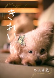 きれい。