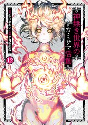 神無き世界のカミサマ活動(12)