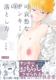 可哀想なヤンキーの落とし方《R18版》