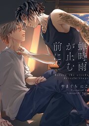 蝉時雨が止む前に