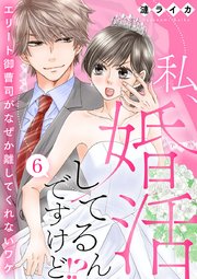 私、婚活してるんですけど!?～エリート御曹司がなぜか離してくれないワケ～ 6