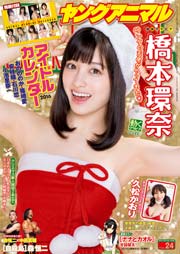 【電子版】ヤングアニマルNo.24（2015年）