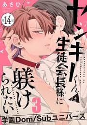 ヤンキーくんは生徒会長様に躾けられたい　#14