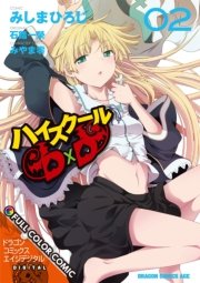 ハイスクールＤ×Ｄ FULL COLOR COMIC(2)