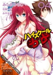 ハイスクールＤ×Ｄ FULL COLOR COMIC(4)