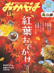 タウン情報おかやま 2023年11月号