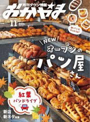 タウン情報おかやま 2025年11月号