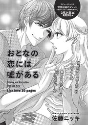 おとなの恋には嘘がある 【短編】