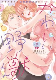 かわいい野獣くん＊外国人彼氏とひよっこ恋愛はじめました＊ 下【電子限定漫画付き】