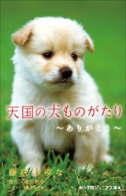 小学館ジュニア文庫 天国の犬ものがたり～ありがとう～