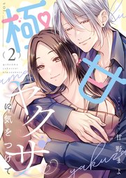極甘ヤクザに気をつけて【描き下ろしおまけ付き特装版】 2巻