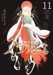 ノラガミ 新装版（11）