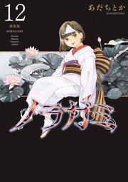 ノラガミ 新装版（12）