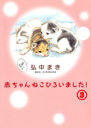 赤ちゃんねこひろいました！その3