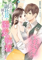 うん、ちょっと落ちつこっか？～訳アリ副社長に捕まって溺愛執着されてます～