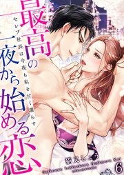 最高の一夜から始める恋～セレブ社長は今夜も私を甘く濡らす～ (6)