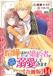 喧嘩ばかりだった婚約者がいきなり溺愛してきます【合冊版】14