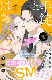 手錠とはちみつ 分冊版（2）