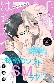 手錠とはちみつ 分冊版（3）